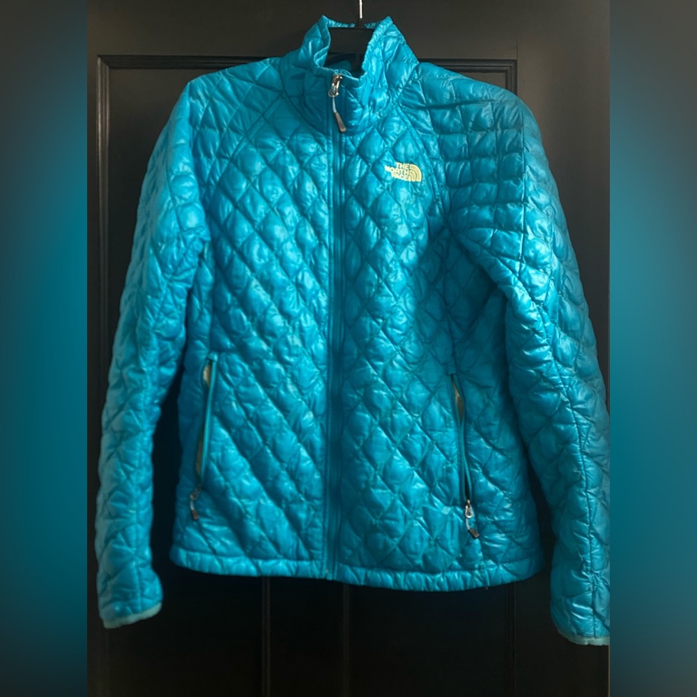 The North Face Blue Ski Jacket